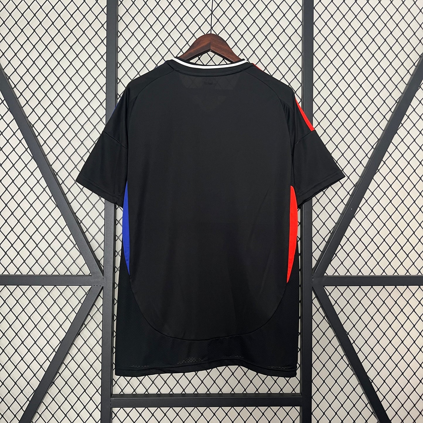 Lyon Alternativa 2024/25