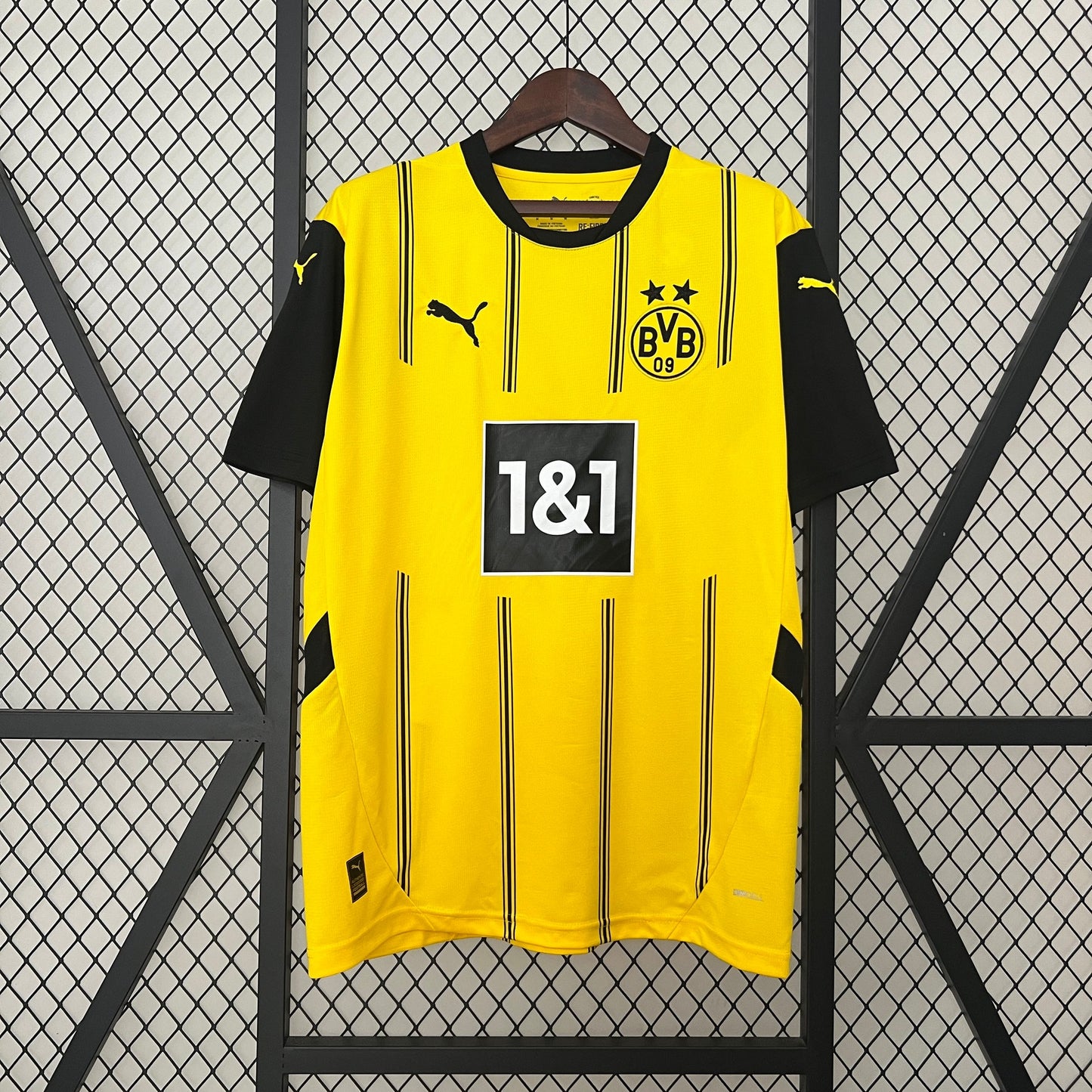Borussia Dortmund 2024/25