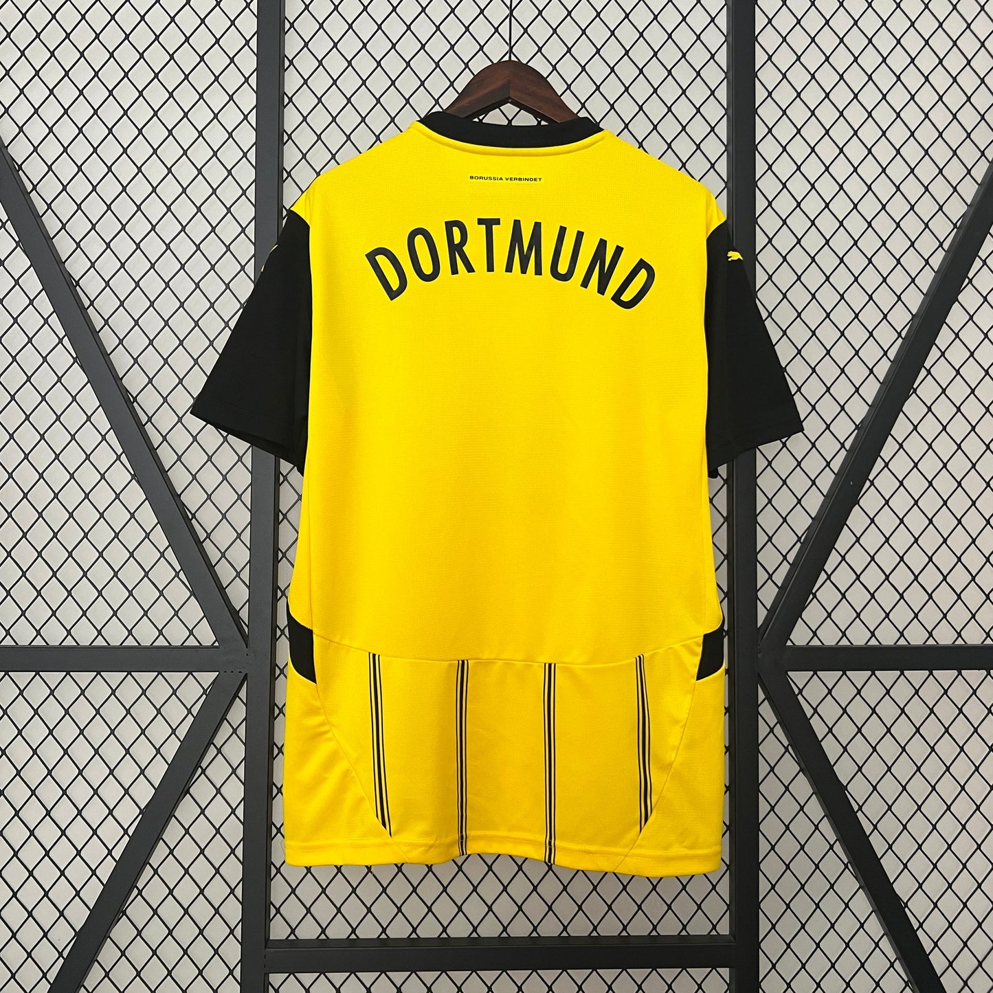 Borussia Dortmund 2024/25