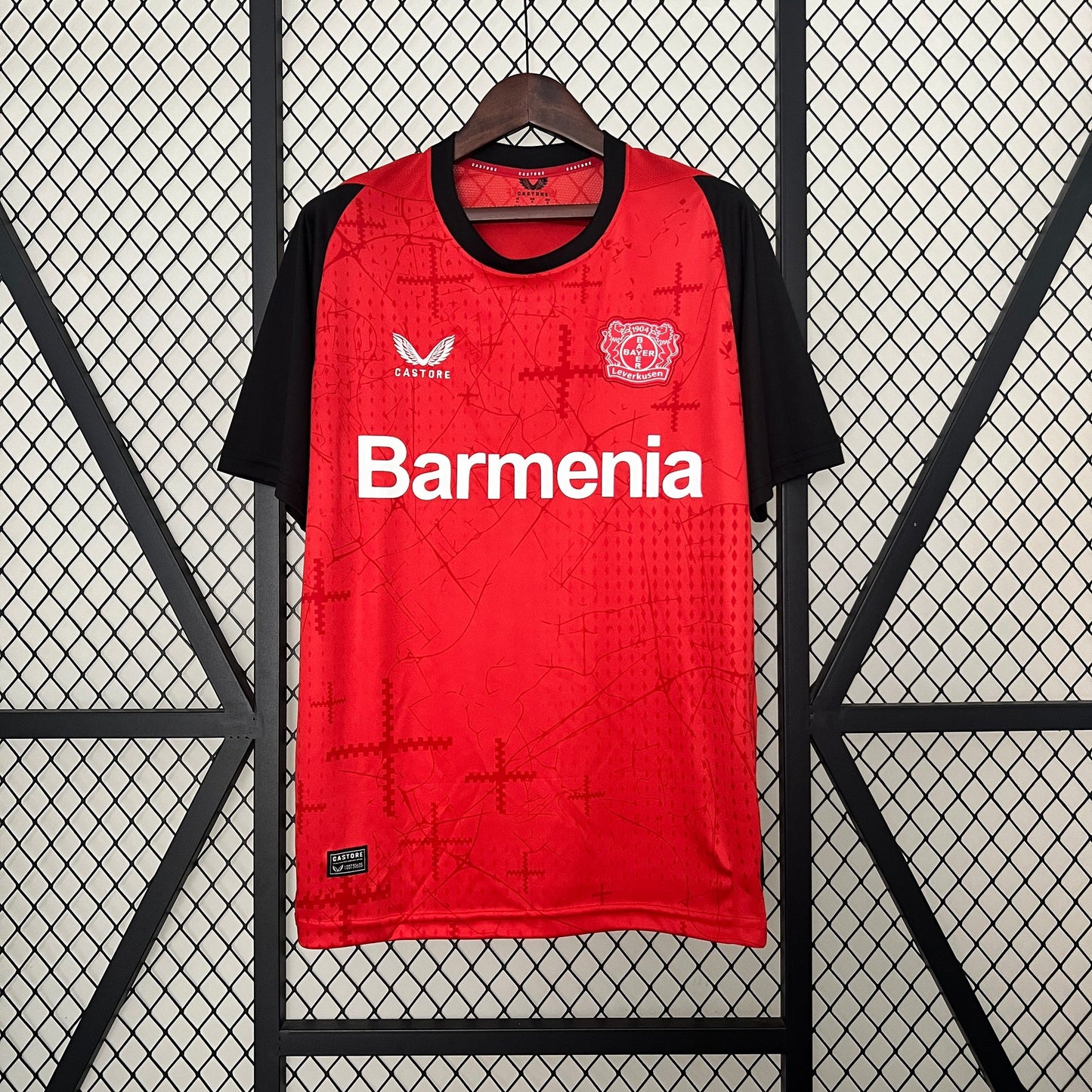 Bayer Leverkusen 2024/25